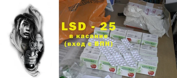 PSILOCYBIN Осинники