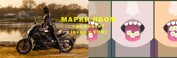 PSILOCYBIN Осинники