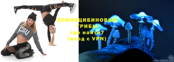 PSILOCYBIN Осинники
