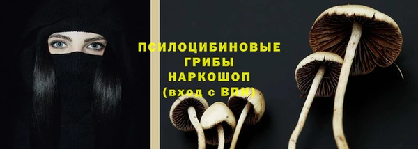 меф Нягань