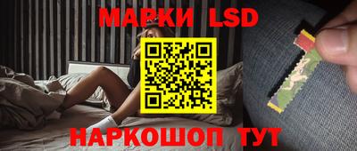 мдпв Камышлов