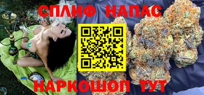 мдпв Камышлов