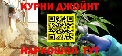 мдпв Камышлов