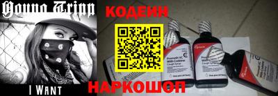 мдпв Камышлов