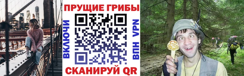 что такое   Тавда  гидра онион  Галлюциногенные грибы GOLDEN TEACHER 