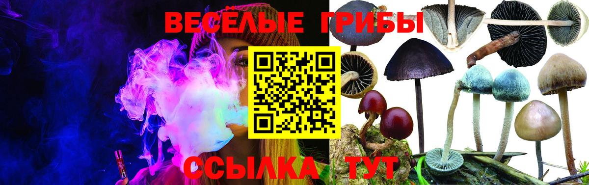 Галлюциногенные грибы MAGIC MUSHROOMS Тавда